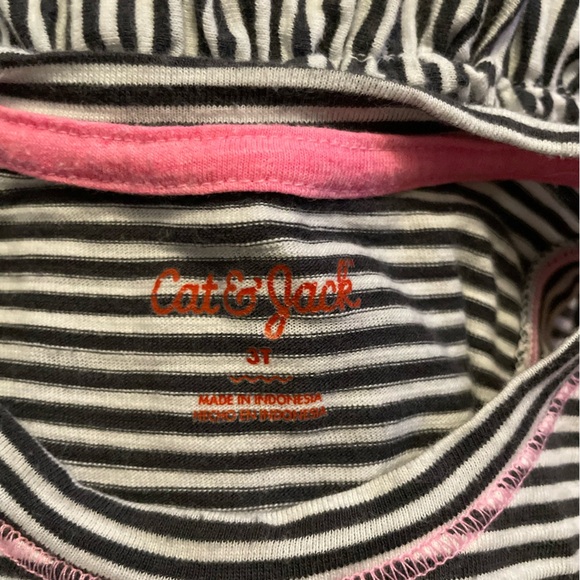 Cat and Jack Toddler Girls Striped Sleeveless Dress with Pink Accents size 3T - Picture 5 of 5